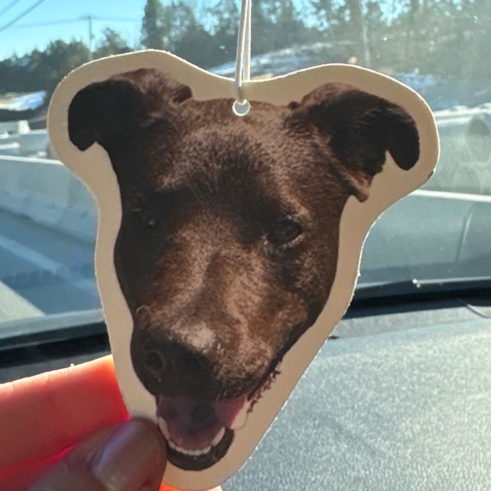 Meet your Posher, Jane